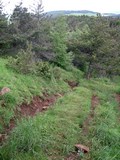 Près de Limagne